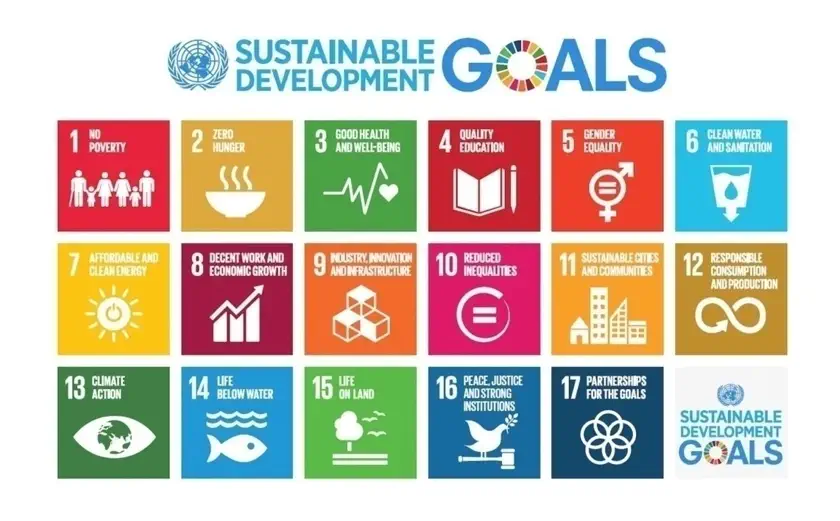 Sustainable Development Goals: SDGs